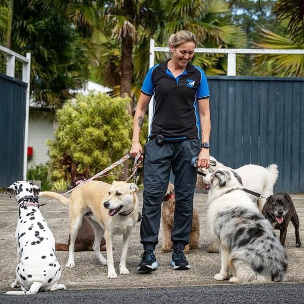 Behaviour Programs For Walking Dogs