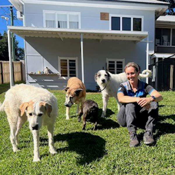 Behaviour Training Classes For Dogs