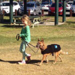 Katrina Boyd Kats4Dogs Sunshine Coast maree-and-brad