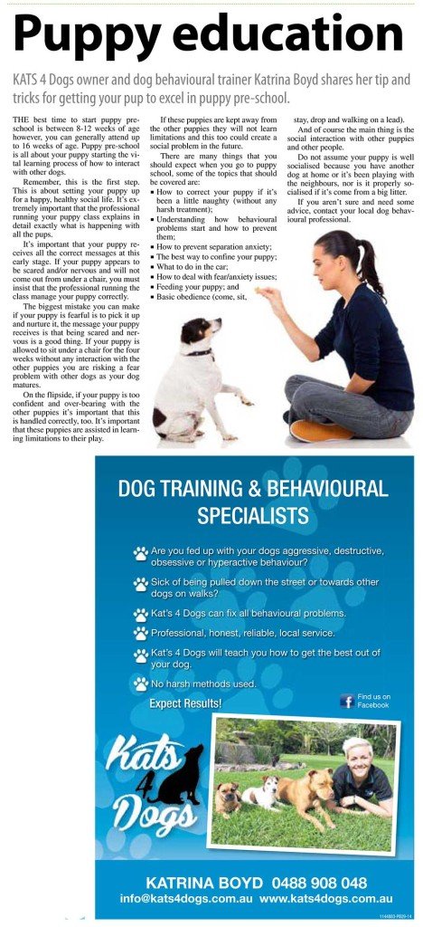 Puppy Education, Noosa-Today_20140717_P46